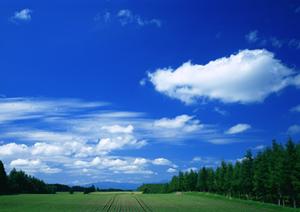 事前割で葬式の費用が更に安くなります