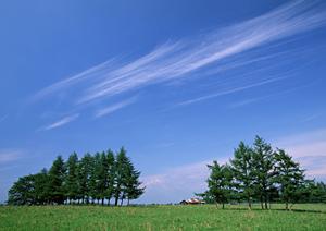 静岡県藤枝市に新規オープンした家族葬専門斎場「家族葬のタクセル高柳」の特徴と利用ガイド