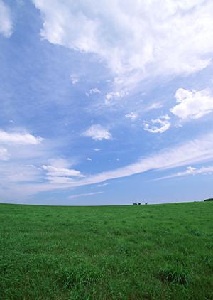 富士葬祭焼津中央：静岡県焼津市における家族葬と小規模葬儀の最適斎場紹介