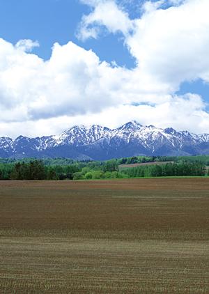 仏壇や仏具などの通信販売について
