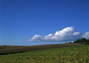 府中市で急ぐ葬儀にも家族葬のファミーユ