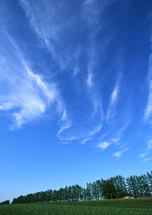 仙台からアクセスの良い自然葬の墓所