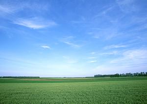 葬儀の安心と信頼を提供する「葬儀相談サロン ティア町屋」―荒川区の家族葬・一般葬をサポート