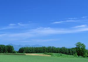 【浜松市中央区の葬儀をサポート】富士葬祭 高林の特色とサービス内容の徹底解説