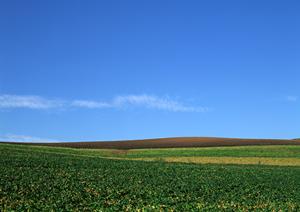 家族葬の刈谷での実施方法について