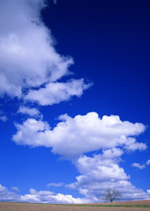 静岡市清水区に新たにオープンした家族葬専門斎場「家族葬のタクセル北矢部町」の特徴と利点