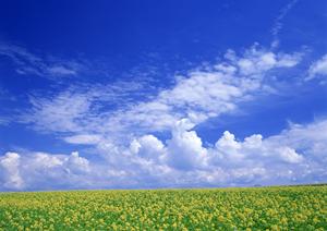 都筑区で信頼できる葬儀サービスを選ぶための完全ガイド【2025年最新版】