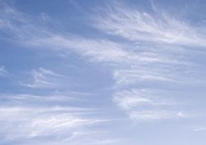 自然を愛する人は知っておきたい樹林墓地