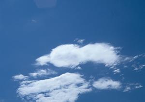 静岡で利用することができる永代供養