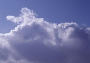 低価格で大切なペットの火葬ができる