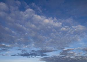 静岡県対応の低価格・安心の家族葬・火葬を実現する【家族葬のタクセル】：斎場・葬儀場情報と特徴解説