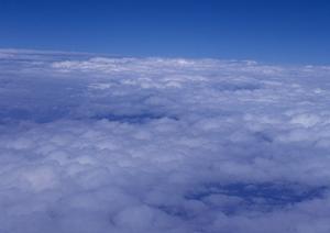 静岡県の家族葬・火葬を低価格で提供する「家族葬のタクセル」｜地域に密着した葬儀サービス