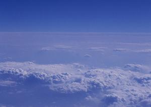 品川での永代供養のすべて：選び方から手続きまで徹底ガイド